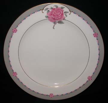 Coalport Aristocrat/Democrat Plate - Dinner - Knife Marks