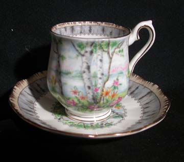 Royal Albert Silver Birch Cup & Saucer - Demitasse