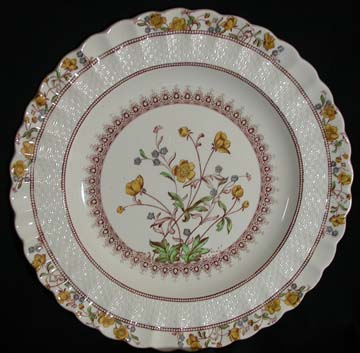 Spode Buttercup Plate - Dinner