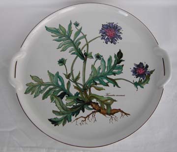 Villeroy and Boch Botanica Plate - Cake/Handled