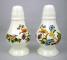 Aynsley Cottage Garden Salt & Pepper Set