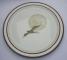 Noritake Moon Flight  8971 Plate - Dinner