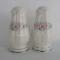 Noritake Rothschild  7293 Salt & Pepper Set