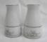 Noritake Sweet Leilani  3482 Salt & Pepper Set