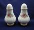 Paragon Bridesmaid Salt & Pepper Set