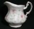 Paragon First Choice Creamer - Large