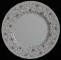 Paragon First Choice Plate - Dinner