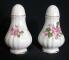 Paragon Canadian Provincial Flowers - Mayflower Salt & Pepper Set