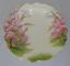 Royal Albert Blossom Time Pickle Dish