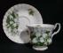 Royal Albert Trillium Cup & Saucer