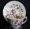 Royal Doulton Canterbury D5560 Cup & Saucer