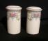 Royal Doulton Juliet  H5077 Salt & Pepper Set