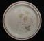 Royal Doulton - Lambethware Sandsprite LS1013 Plate - Dinner