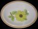 Royal Doulton - Lambethware Summer Days LS1002 Platter