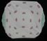Shelley Rosebud - Green Trim - 13426 Plate - Cake/Handled