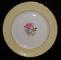 Tuscan Dovedale Plate - Dinner