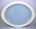Wedgwood Summer Sky Platter
