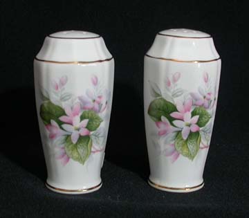 Royal Adderley Mayflower Salt & Pepper Set