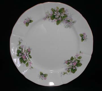 Royal Adderley Mayflower Plate - Dinner