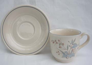 Noritake Kilkee  9109 Cup & Saucer