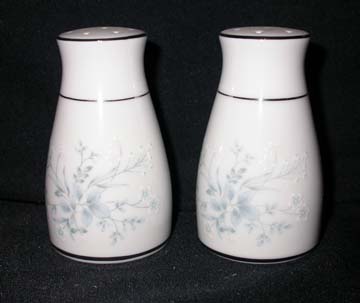 Noritake Carolyn 2693 Salt & Pepper Set