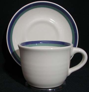 Pfaltzgraff Northwinds Cup & Saucer