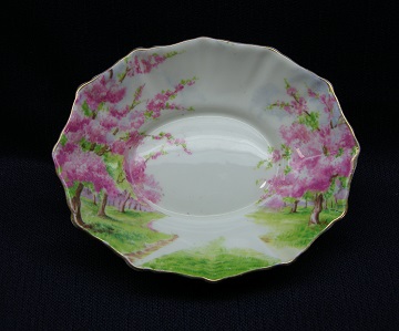 Royal Albert Blossom Time Sweet Dish - Oval