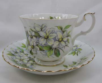 Royal Albert Pacific Dogwood Cup & Saucer