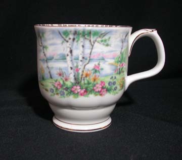 Royal Albert Silver Birch Mug