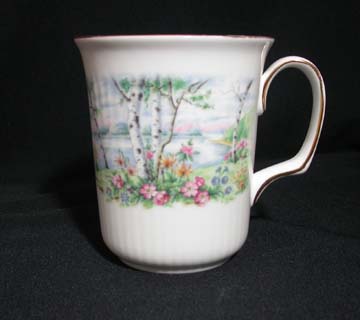 Royal Albert Silver Birch Mug