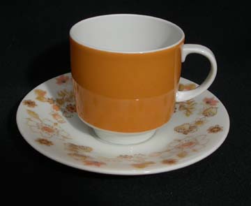 Royal Doulton Sundance TC1087 Cup & Saucer