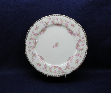 Schumann - Bavaria - Germany Original Bridal Rose Plate - Salad